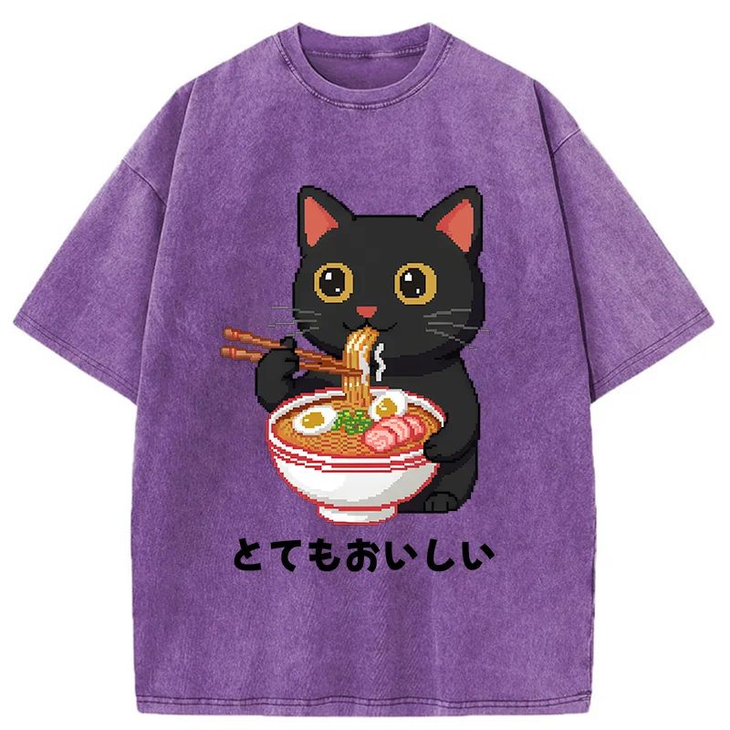 Tokyo-Tiger Black Cat Eats Ramen Pixel Art Style Washed T-Shirt
