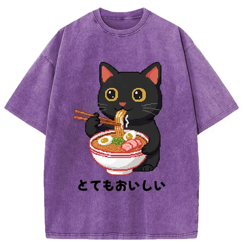 Tokyo-Tiger Black Cat Eats Ramen Pixel Art Style Washed T-Shirt