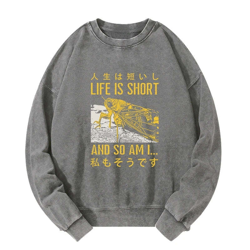 Tokyo-Tiger A Grasshopper With A Short Life Washed Sweatshirt
