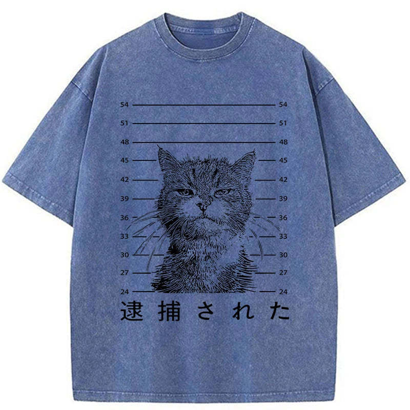 Tokyo-Tiger Cat That Was Arrested Washed T-Shirt