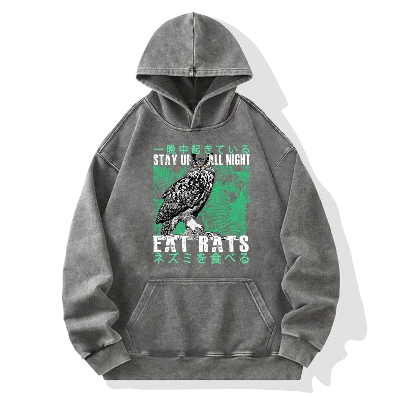 Tokyo-Tiger Owls Prey On Rats At Night Washed Hoodie