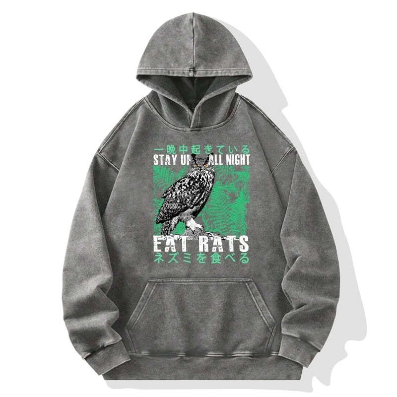 Tokyo-Tiger Owls Prey On Rats At Night Washed Hoodie Sale