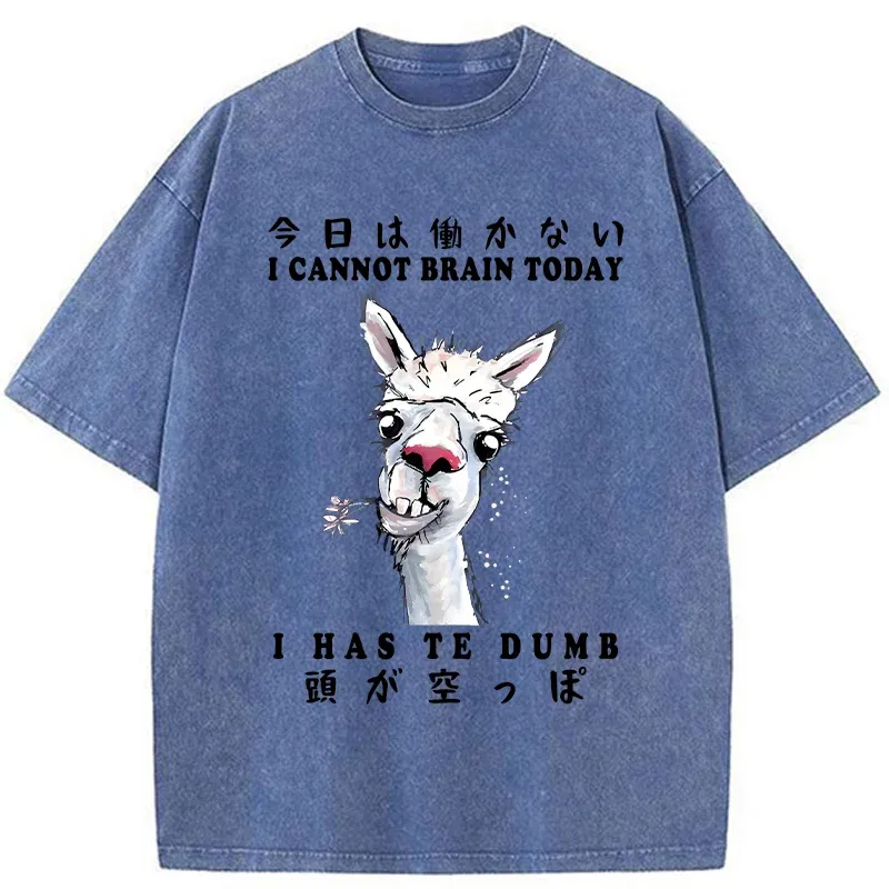 Tokyo-Tiger Empty-headed Alpaca Washed T-Shirt