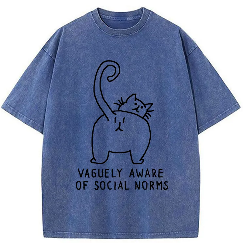 Tokyo-Tiger Vague Understanding Funny Washed T-Shirt