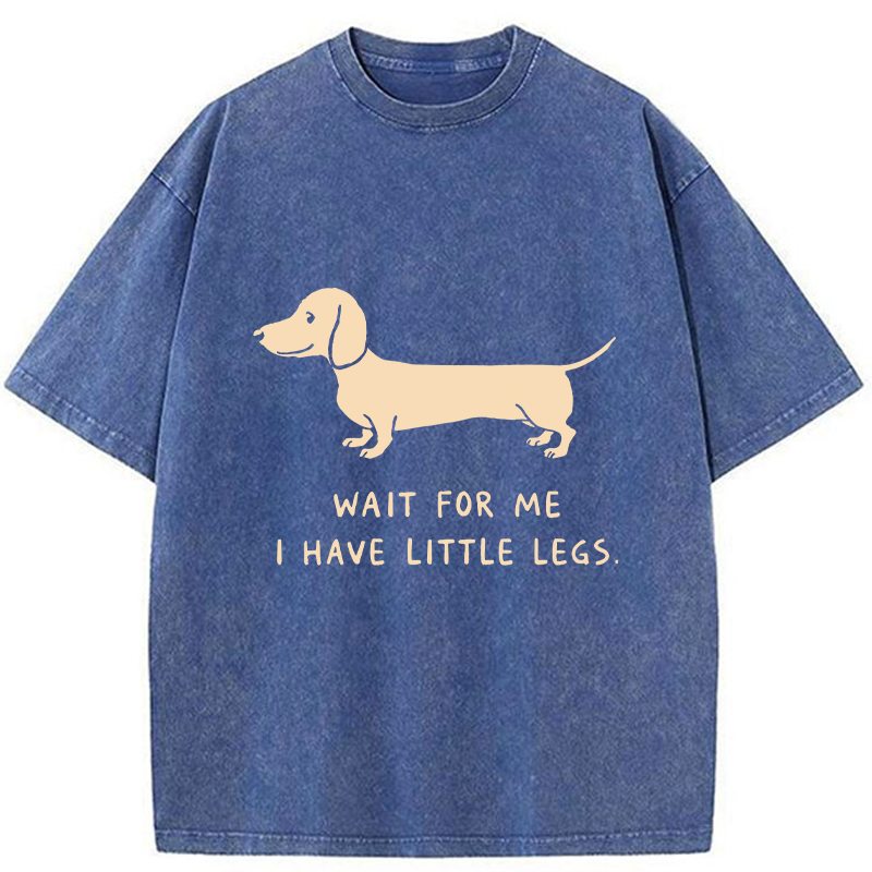 Tokyo-Tiger Wait For The Dachshund Washed T-Shirt