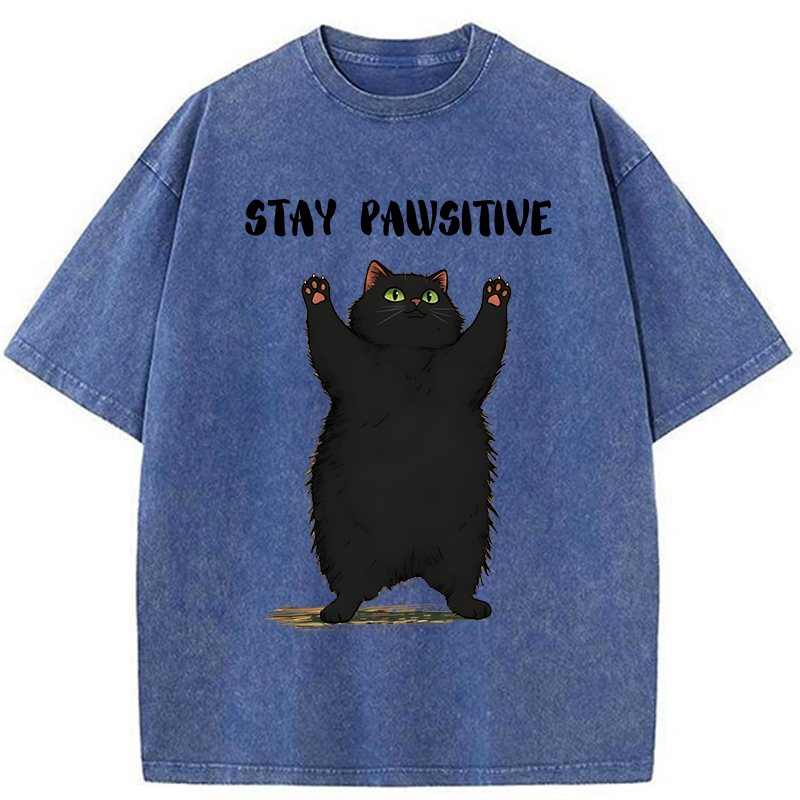 Tokyo-Tiger Cat Stay Pawsitive Washed T-Shirt