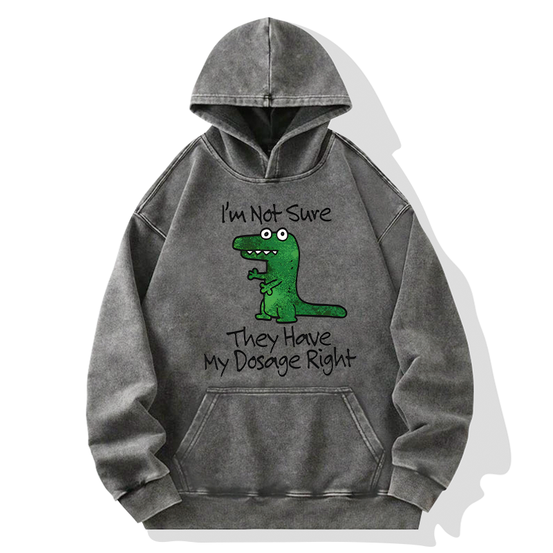 Tokyo-Tiger Dinosaur Meme Sarcastic Ironic Washed Hoodie