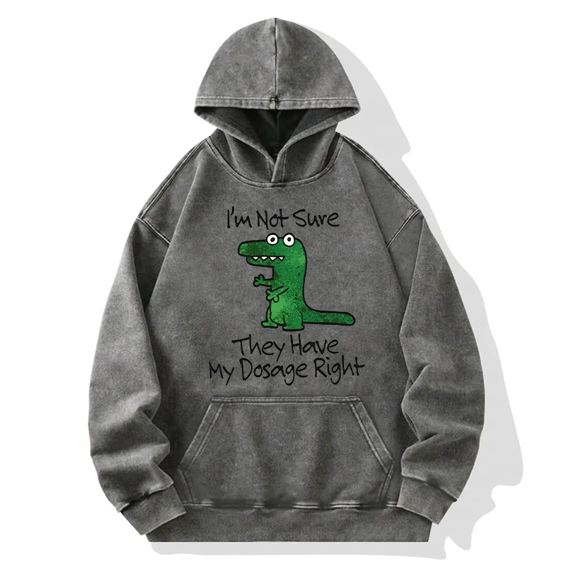 Tokyo-Tiger Dinosaur Meme Sarcastic Ironic Washed Hoodie