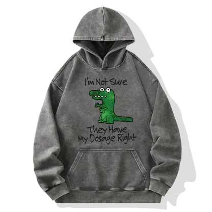 Tokyo-Tiger Dinosaur Meme Sarcastic Ironic Washed Hoodie