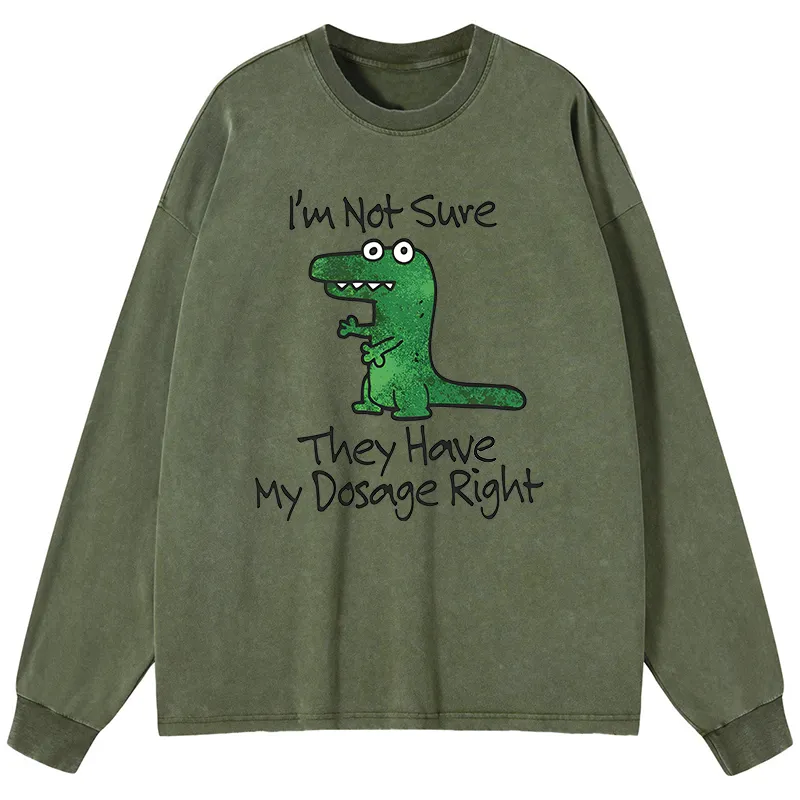 Tokyo-Tiger Dinosaur Meme Sarcastic Ironic Washed Long Sleeve T-Shirt