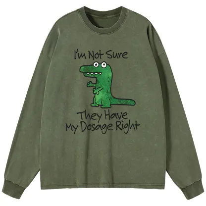 Tokyo-Tiger Dinosaur Meme Sarcastic Ironic Washed Long Sleeve T-Shirt