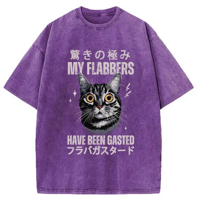 Tokyo-Tiger My Flabbers Have Been Gasted Washed T-Shirt