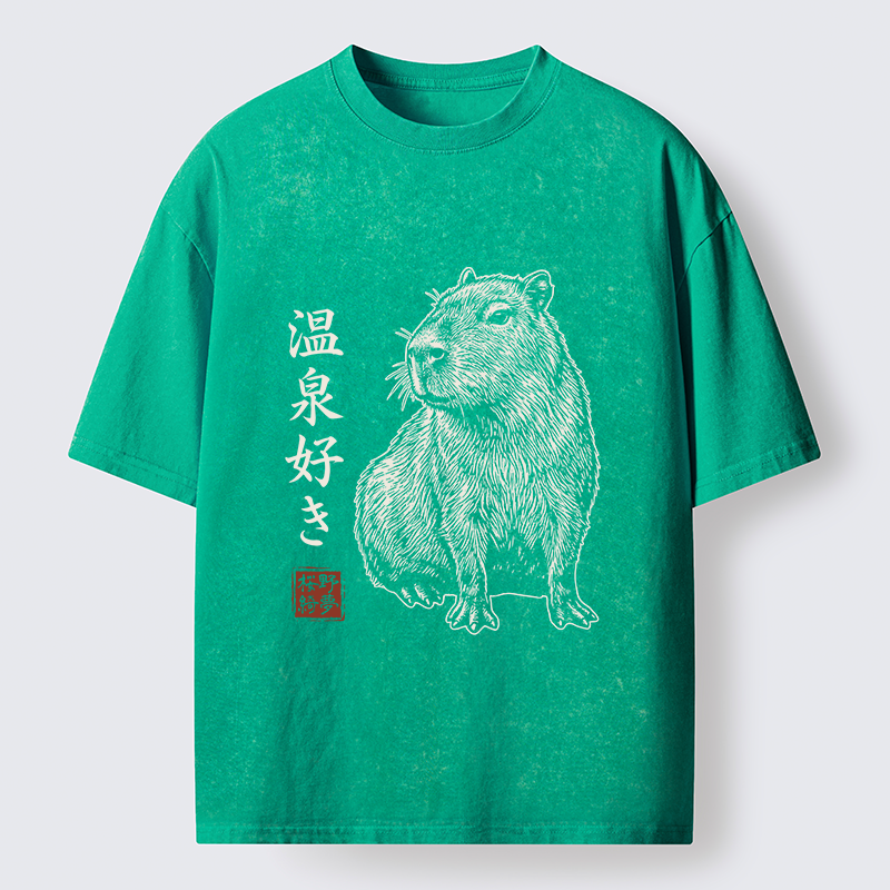 Tokyo-Tiger Hot Spring Enthusiasts Washed T-Shirt
