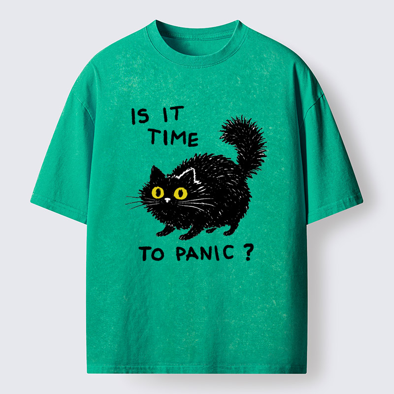 Tokyo-Tiger Is It Time To Panic Washed T-Shirt