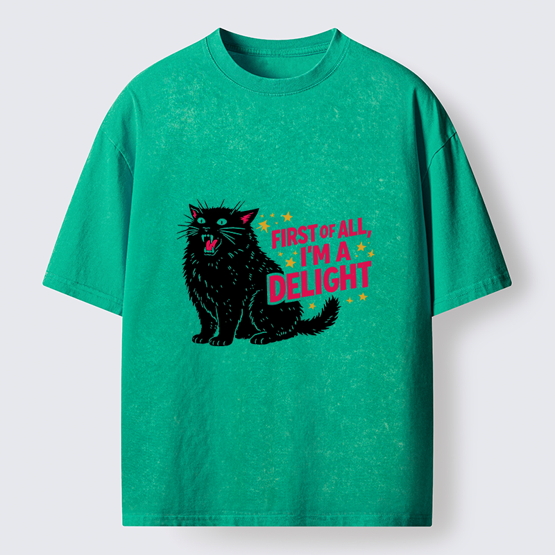 Tokyo-Tiger With A Lake In Your Heart, Every Place Is A Beautiful Landscape Washed T-Shirt