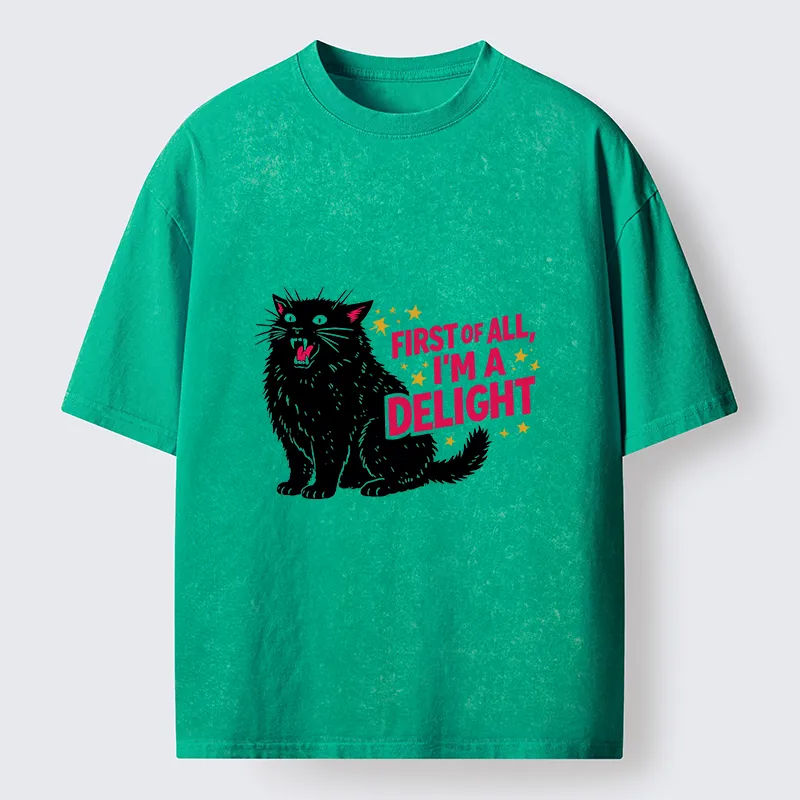 Tokyo-Tiger With A Lake In Your Heart, Every Place Is A Beautiful Landscape Washed T-Shirt