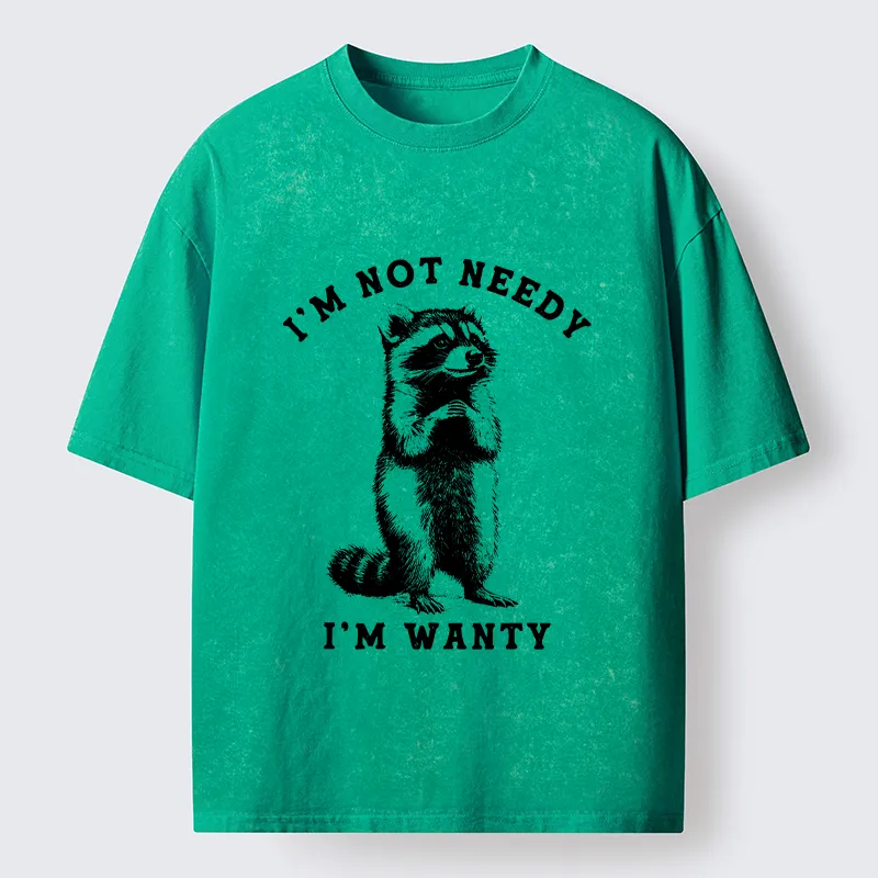 Tokyo-Tiger Raccoon's Prayer Washed T-Shirt