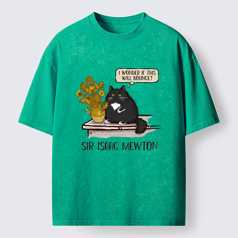 Tokyo-Tiger Cat Wants To Do A Physics Experiment Washed T-Shirt