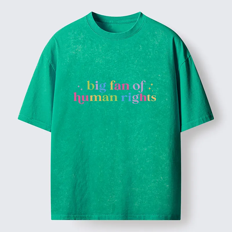 Tokyo-Tiger Human Right Washed T-Shirt