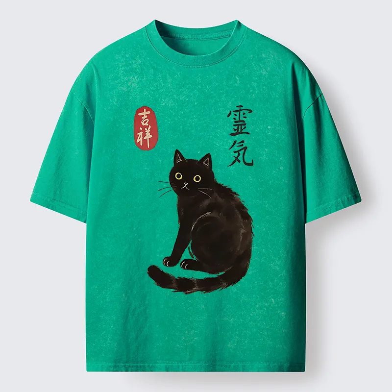 Tokyo-Tiger Japanese Black Cat Washed T-Shirt