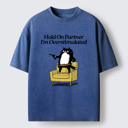 Tokyo-Tiger Overstimulated Cat Washed T-Shirt