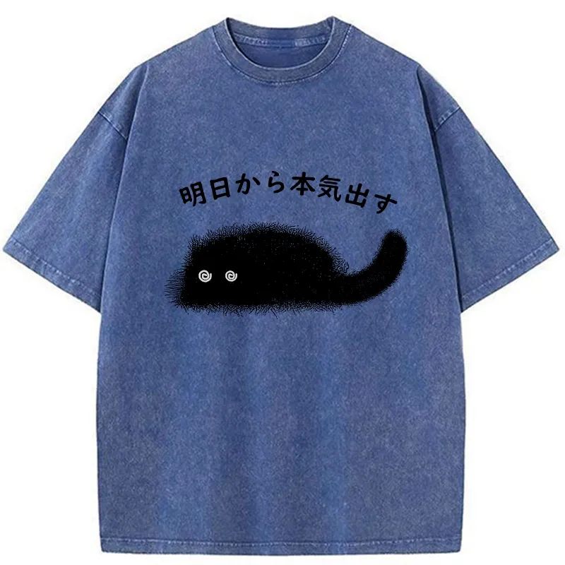 Tokyo-Tiger I'll Get Serious From Tomorrow Washed T-Shirt