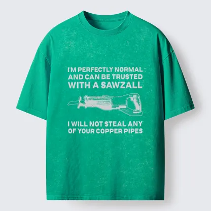 Tokyo-Tiger Sawzall Funny Washed T-Shirt