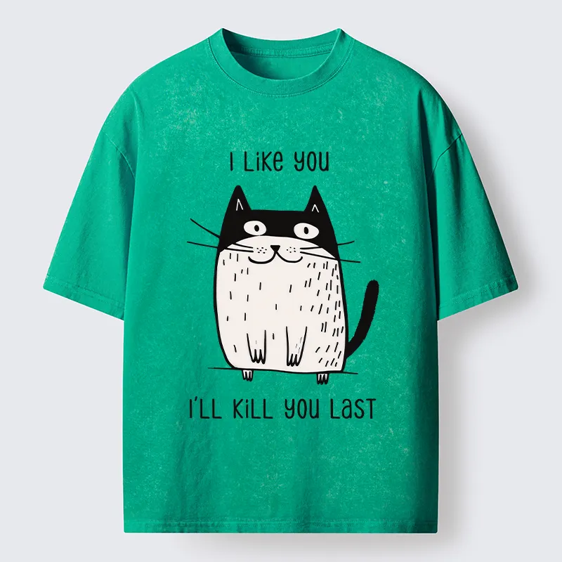 Tokyo-Tiger Cats Both Love And Hate Washed T-Shirt