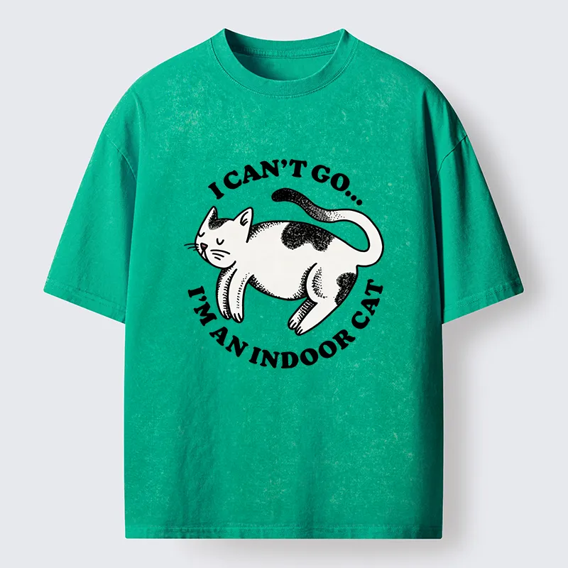 Tokyo-Tiger Indoor Cat Funny Washed T-Shirt