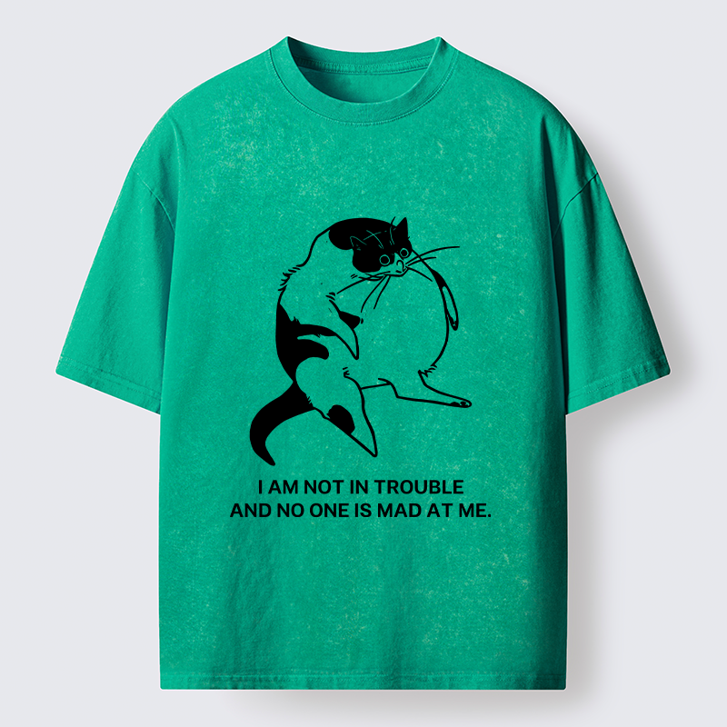 Tokyo-Tiger Introverted Kitten Japan Washed T-Shirt