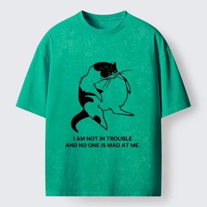 Tokyo-Tiger Introverted Kitten Japan Washed T-Shirt