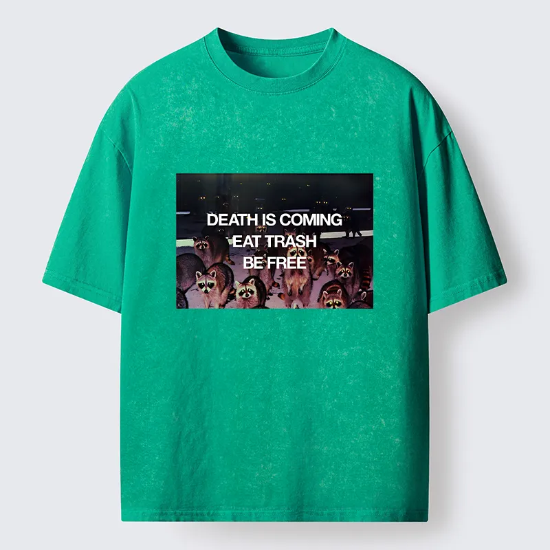 Tokyo-Tiger Groups Of Raccoons Washed T-Shirt