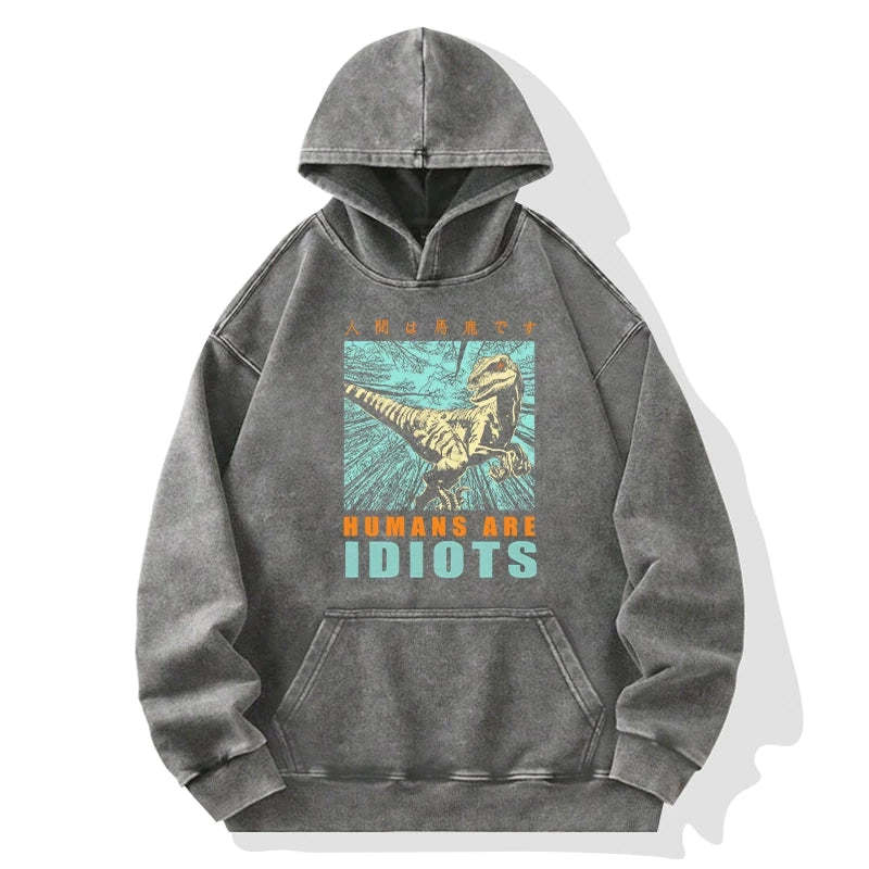 Tokyo-Tiger Mocking Dinosaurs Japanese Washed Hoodie Sale