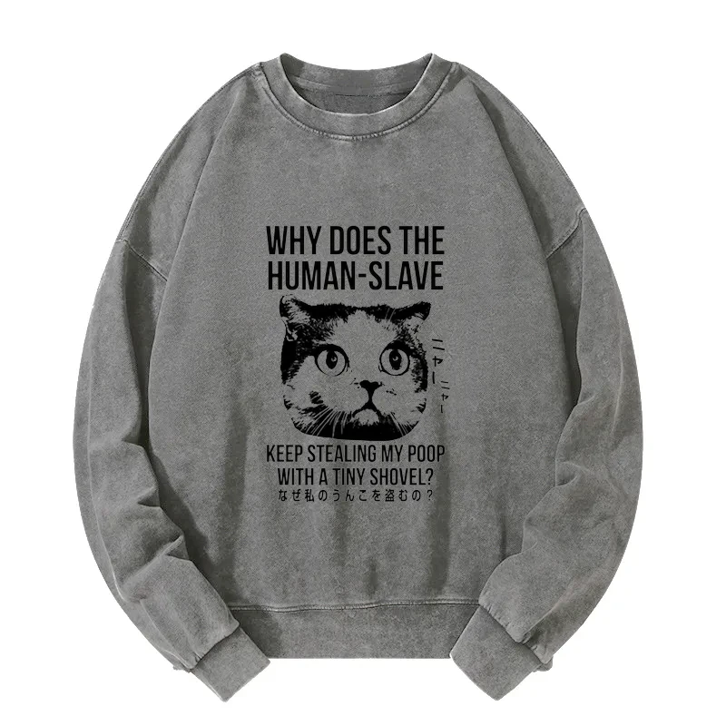 Tokyo-Tiger Cat Thinking About human Washed Sweatshirt
