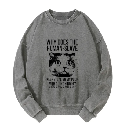 Tokyo-Tiger Cat Thinking About human Washed Sweatshirt