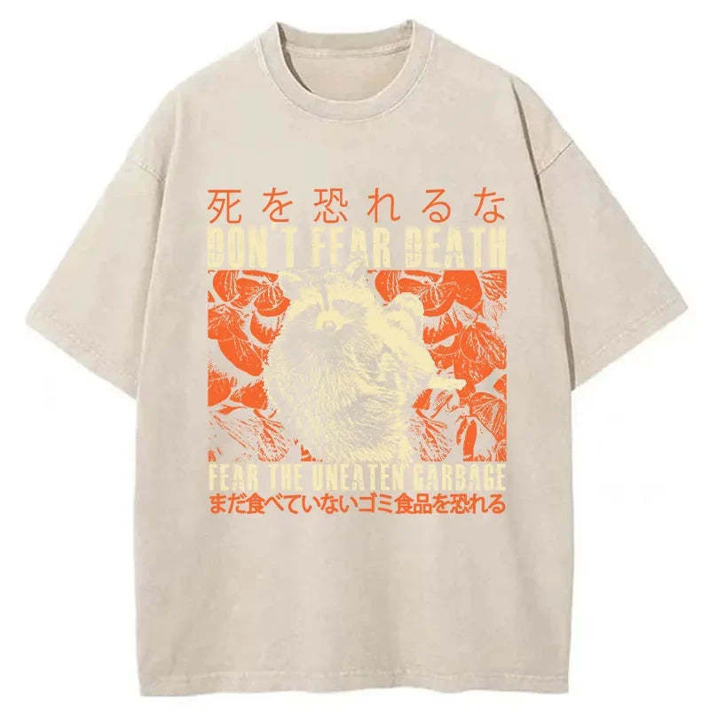 Tokyo-Tiger Timid Raccoon Japanese Washed T-Shirt