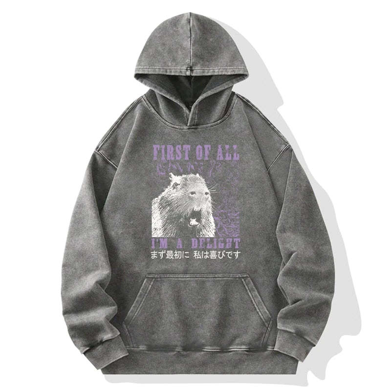 Tokyo-Tiger First Of All I'm A Delight Washed Hoodie