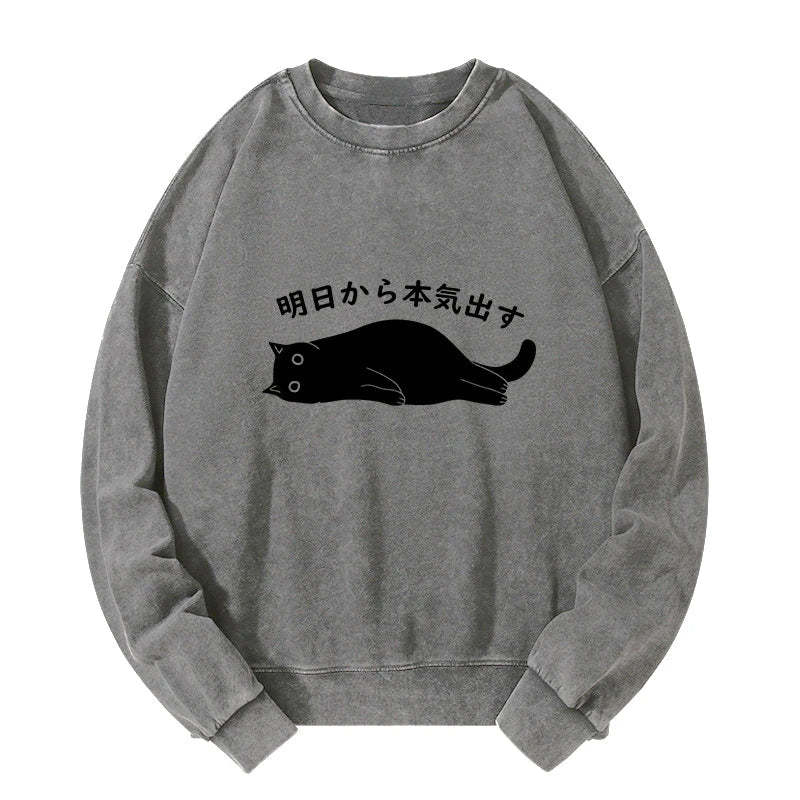 Tokyo-Tiger I'm Going To Get Serious Tomorrow Washed Sweatshirt