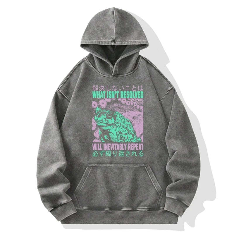 Tokyo-Tiger What Ist Resolved Forg Washed Hoodie Sale