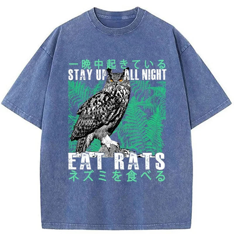 Tokyo-Tiger Owls Prey On Rats At Night Washed T-Shirt