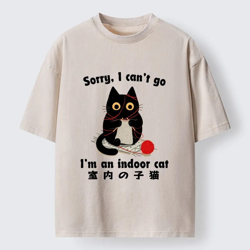 Tokyo‑Tiger Indoor Cat Meme Washed T‑Shirt