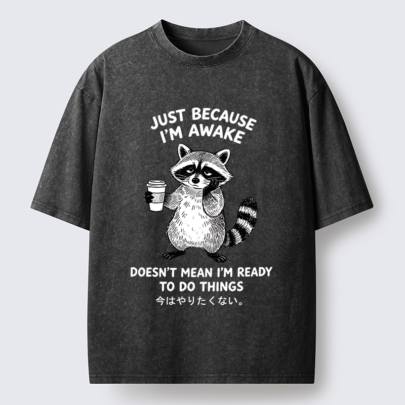 Tokyo-Tiger Tired Raccoon Coffee Washed T-Shirt