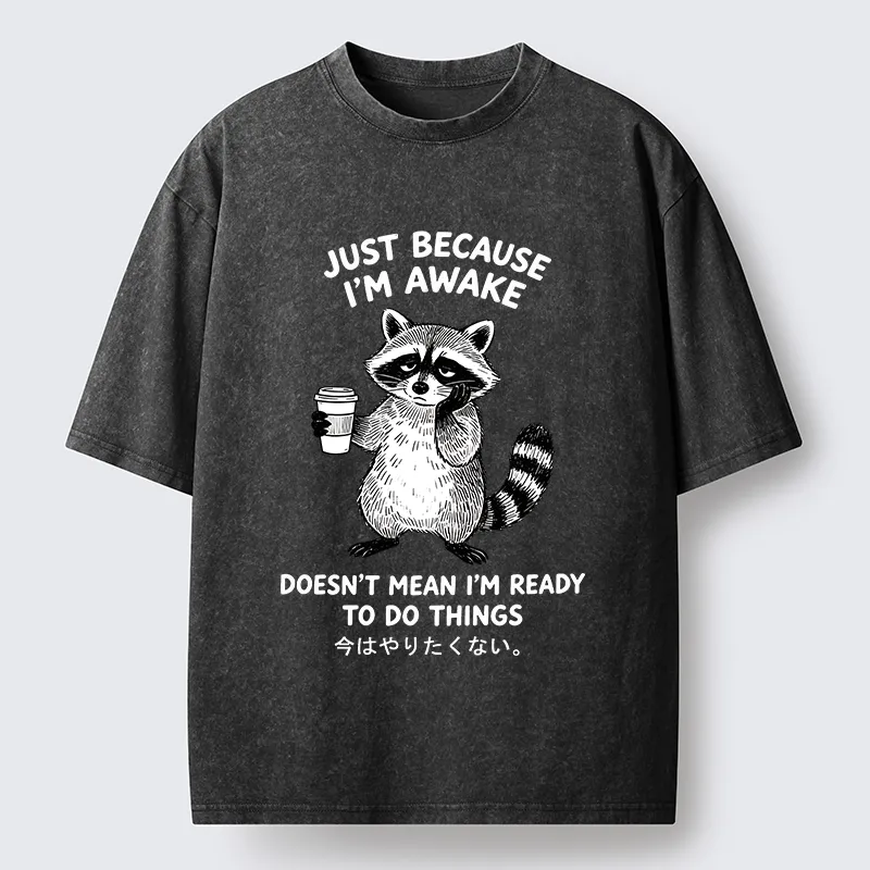 Tokyo-Tiger Tired Raccoon Coffee Washed T-Shirt