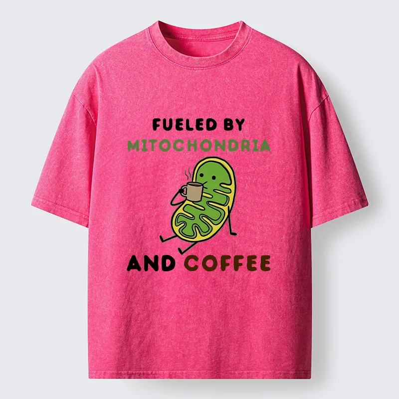 Tokyo-Tiger Two Sources Energy Funny Meme Washed T-Shirt