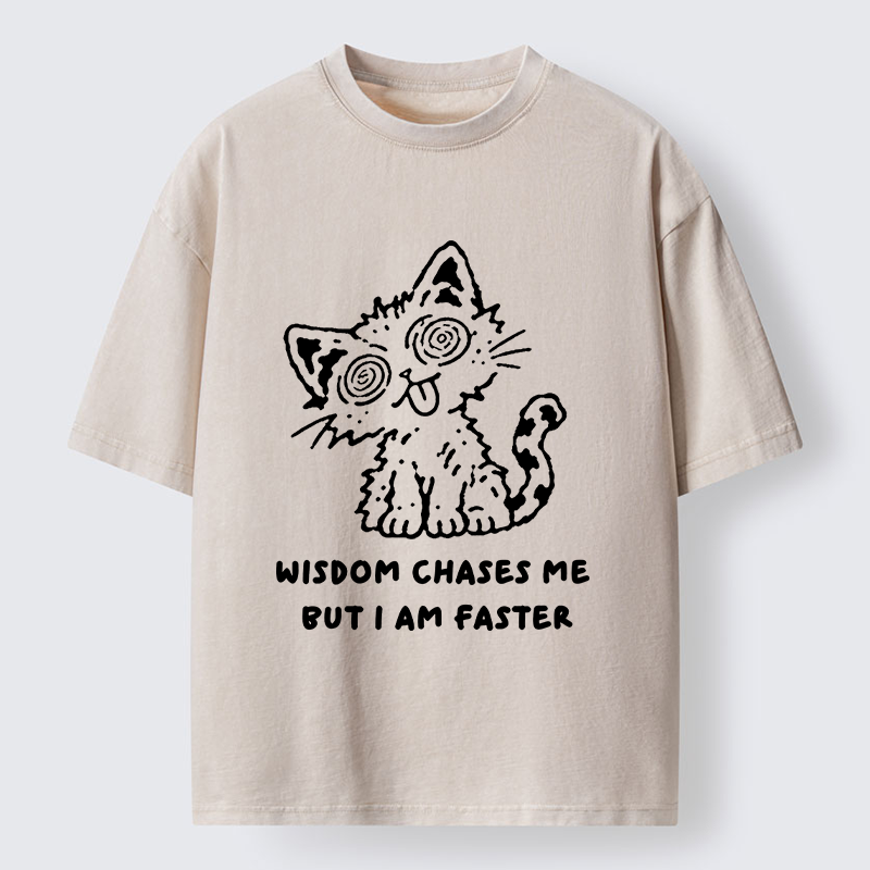 Tokyo-Tiger Escape Wisdom Cat Funny Meme Washed T-Shirt