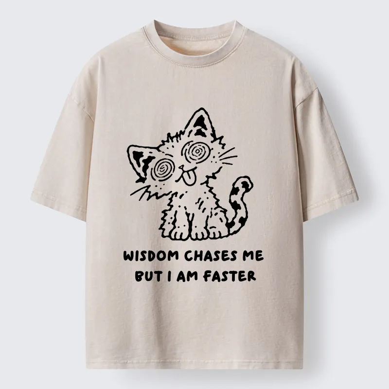 Tokyo‑Tiger Escape Wisdom Cat Funny Meme Washed T‑Shirt Sale