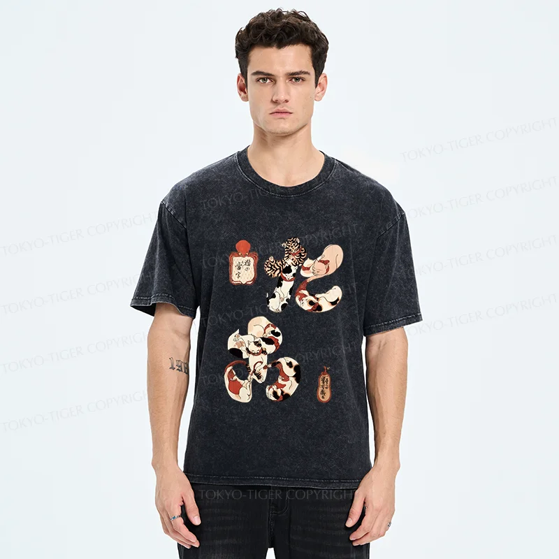 Tokyo-Tiger Funny Cat Kanji Washed T-Shirt