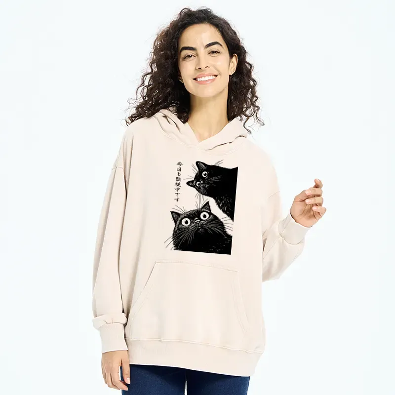 Tokyo-Tiger The Cat Is Watching Today Washed Hoodie