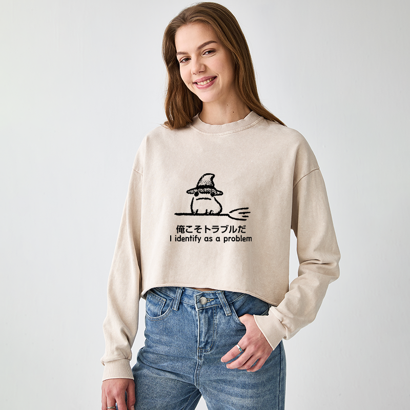 Tokyo-Tiger Mischief Magic Dude Washed Crop Sweatshirt