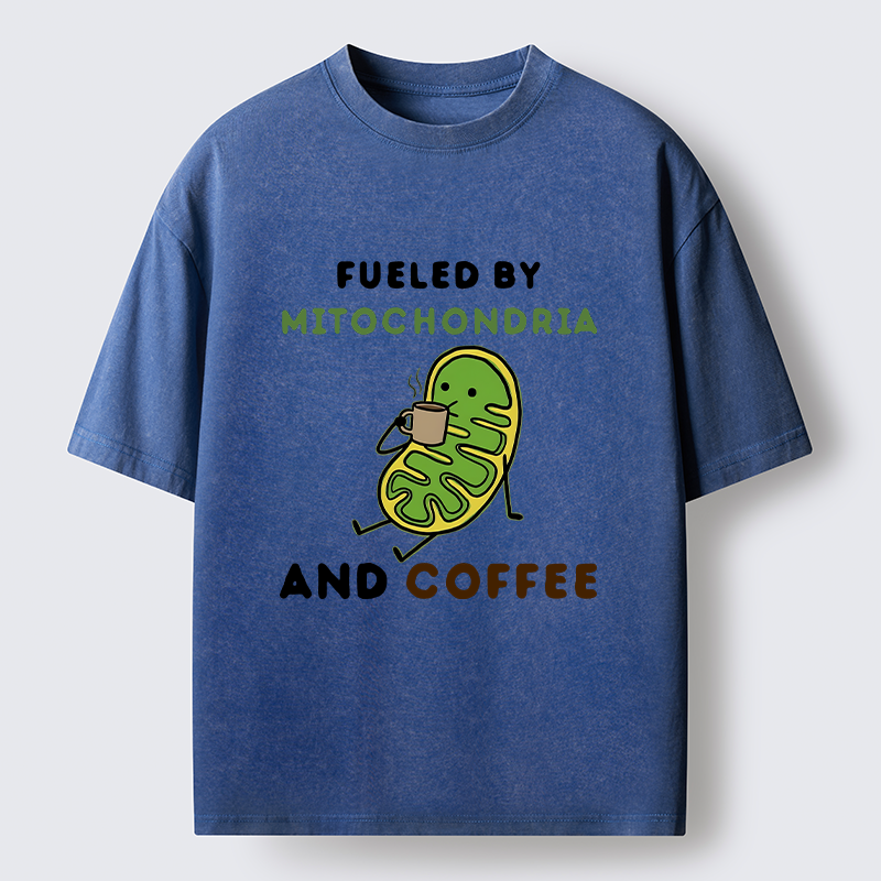 Tokyo-Tiger Two Sources Energy Funny Meme Washed T-Shirt